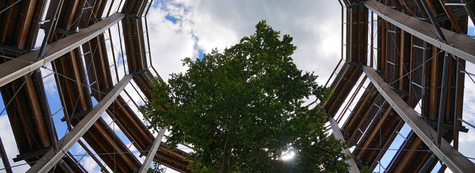 Ebrach Klosterbräu Baumwipfelpfad Wald wandern spazieren
