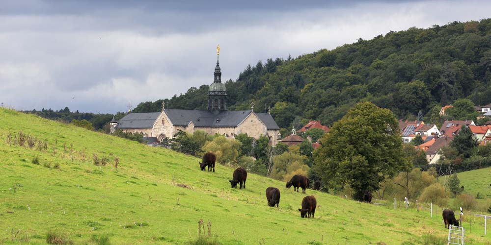 Ebrach Kloster Stadt